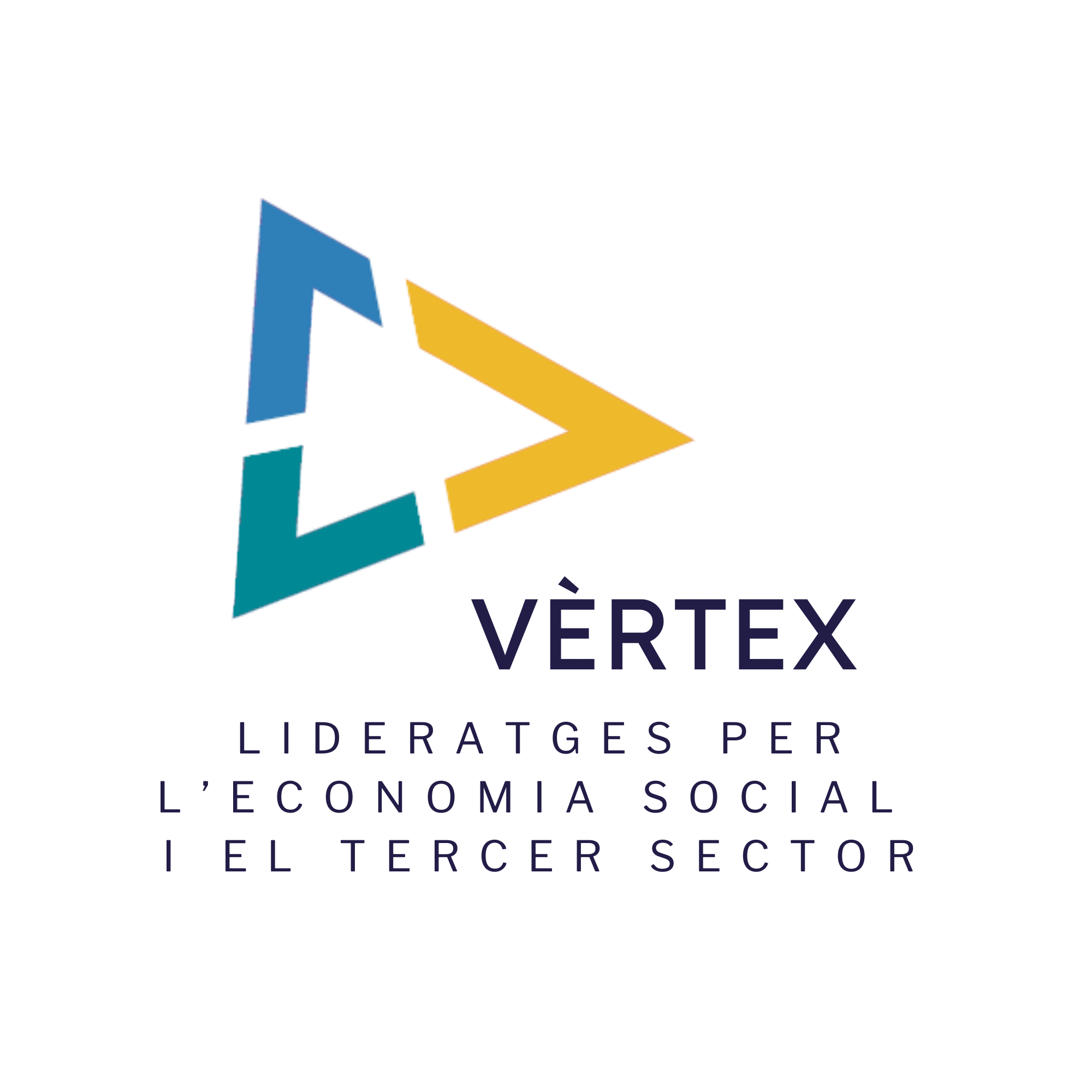 Vertex program