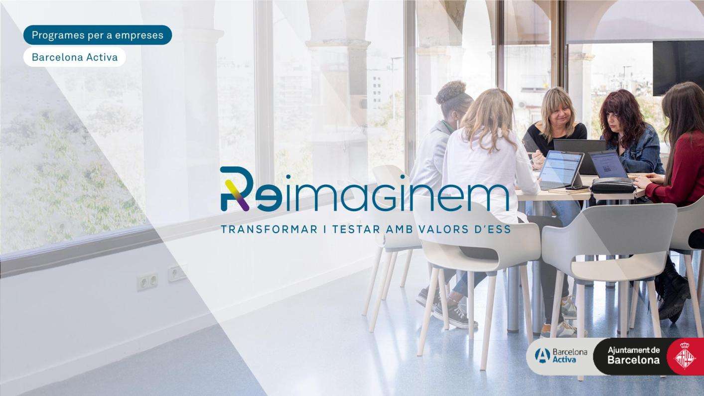 Programa Reimaginem