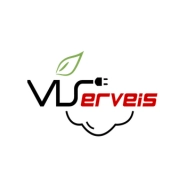 VISERVEIS I SERVEIS DEL VEHICLE INDUSTRIAL,S.C.C.L.